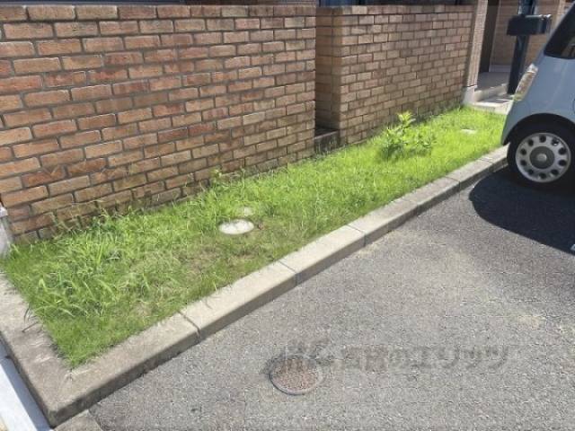 植栽
