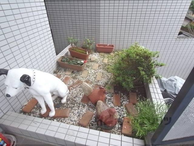 植栽