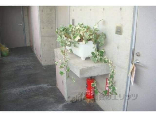 通路