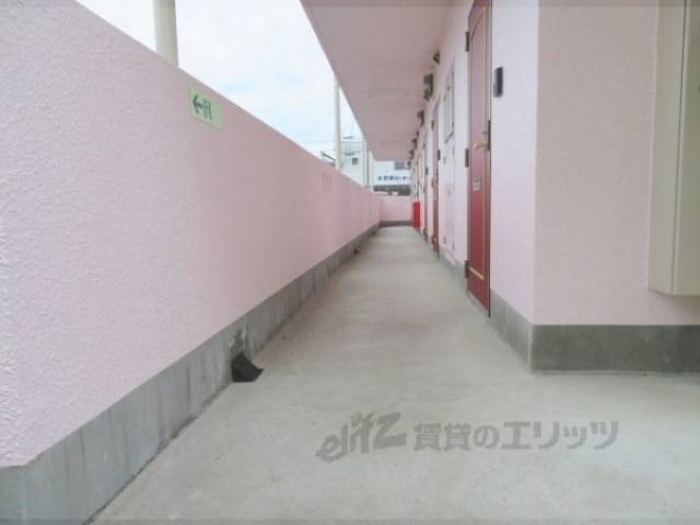 通路