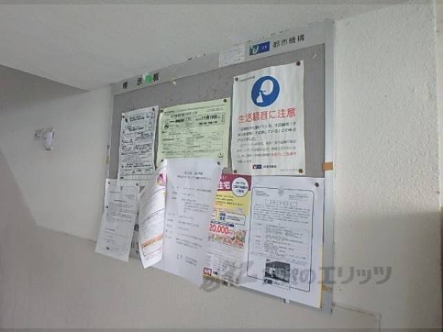 掲示板