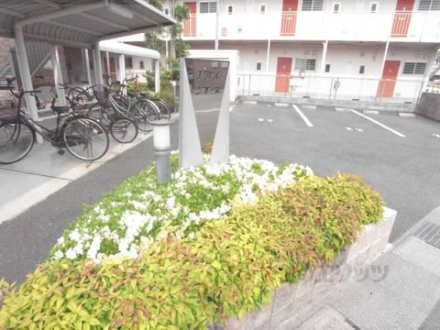 植栽
