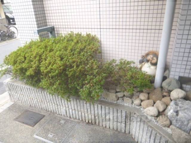 植栽