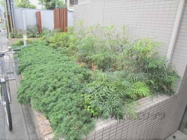植栽