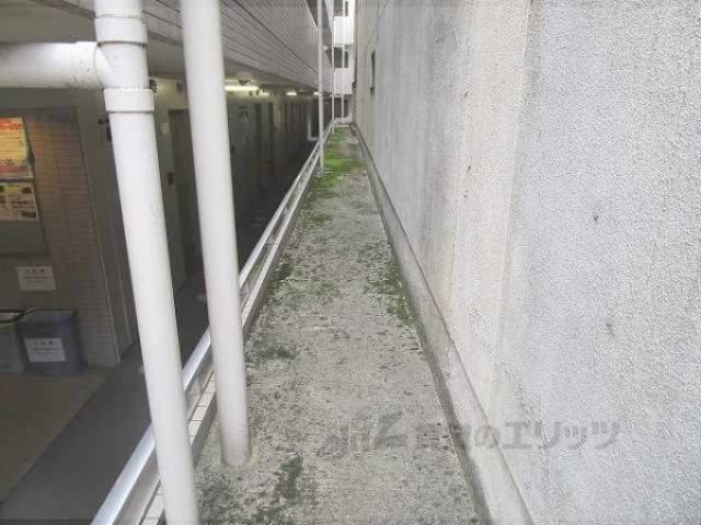 通路