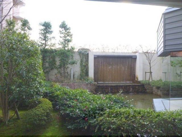 植栽