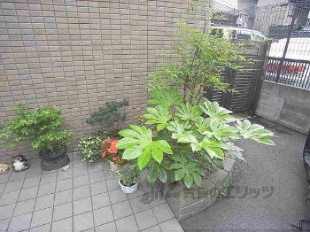植栽
