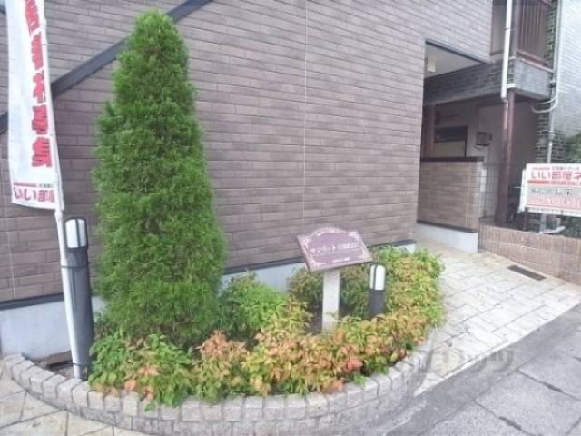 植栽