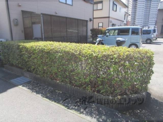 植栽
