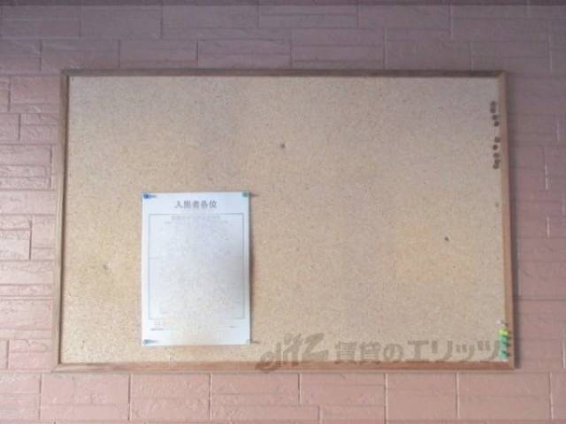 掲示板