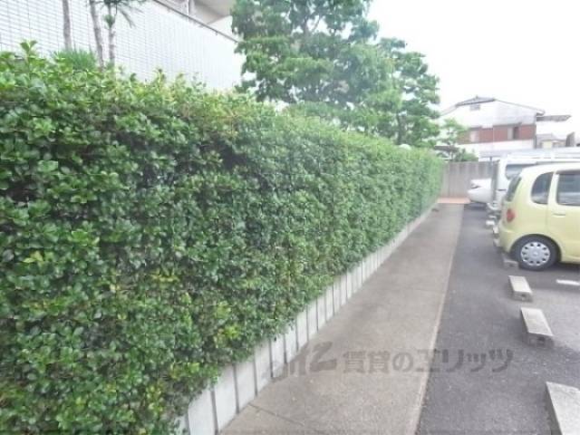 植栽