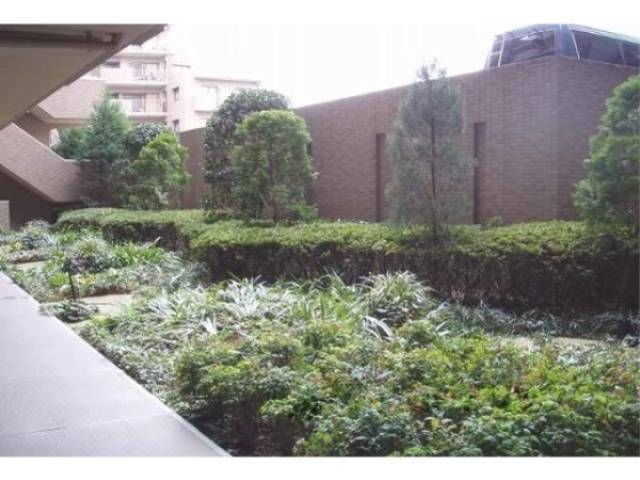 植栽