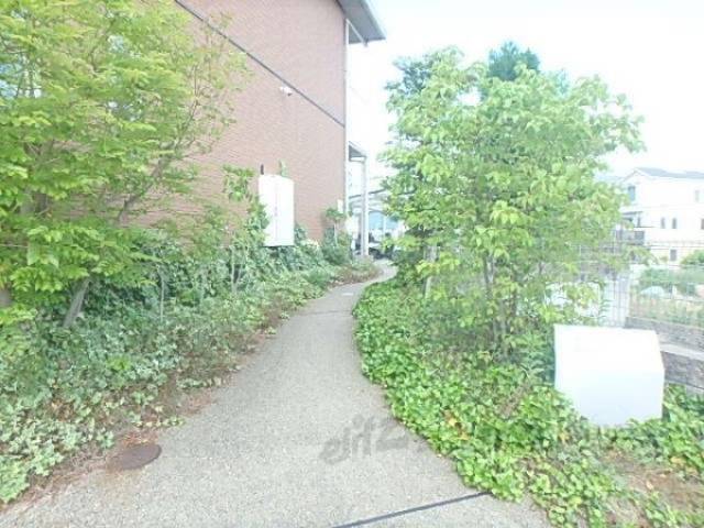 植栽