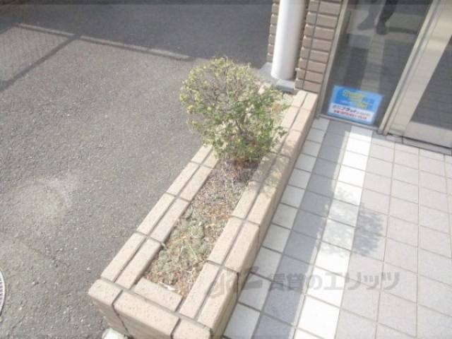植栽