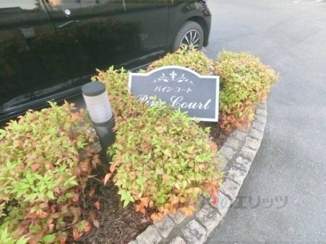 植栽