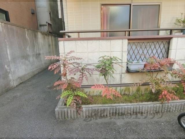 植栽