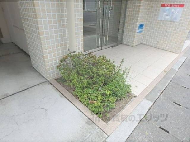 植栽