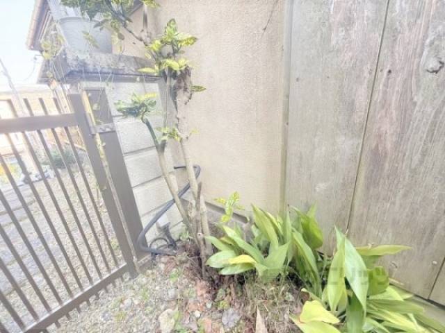 植栽