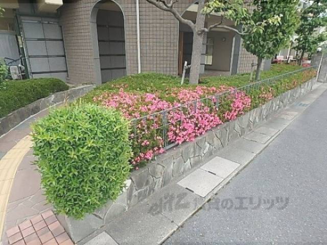 植栽