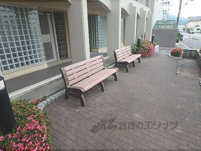 ベンチ