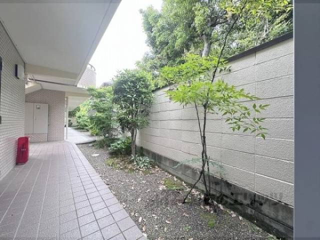 植栽