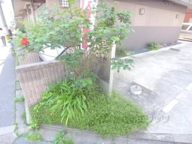 植込