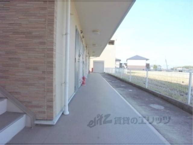 エントランス　廊下