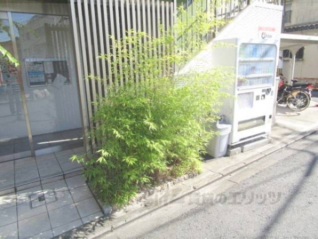 植栽