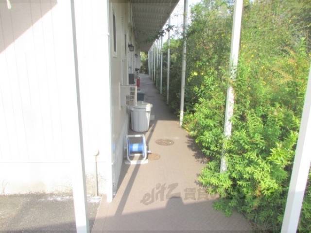 通路