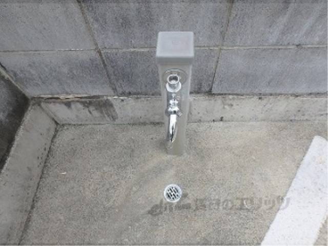 蛇口