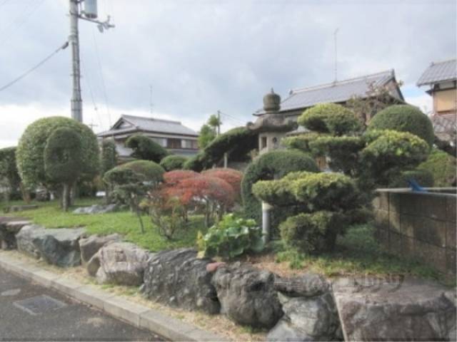 植栽