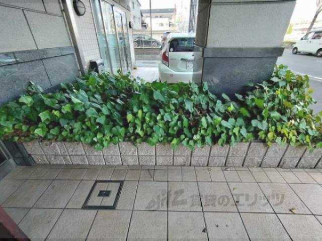 植栽