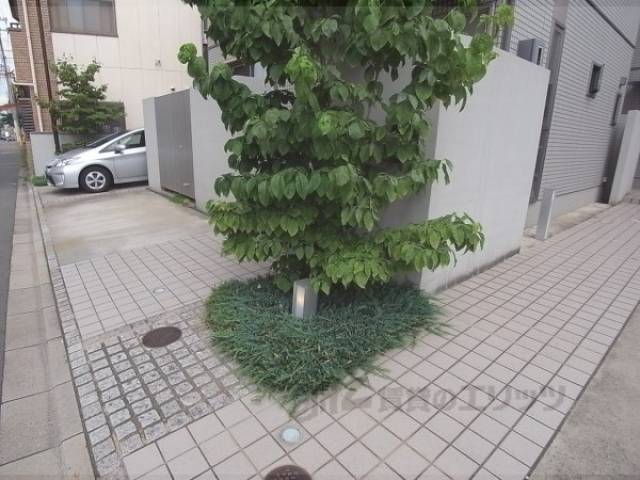 植栽