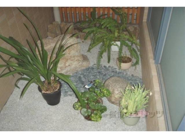 植栽