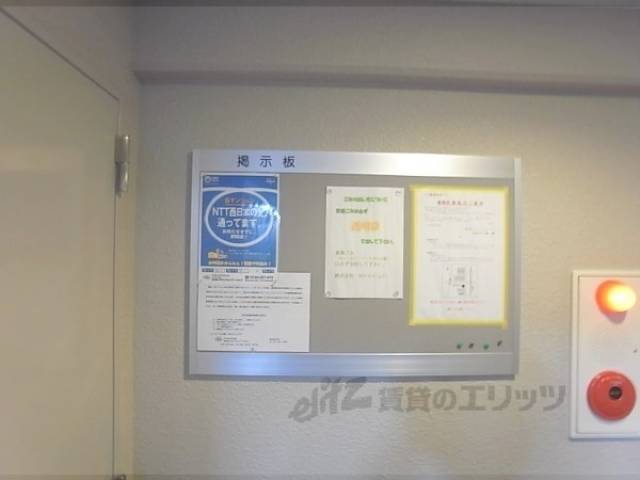 掲示板