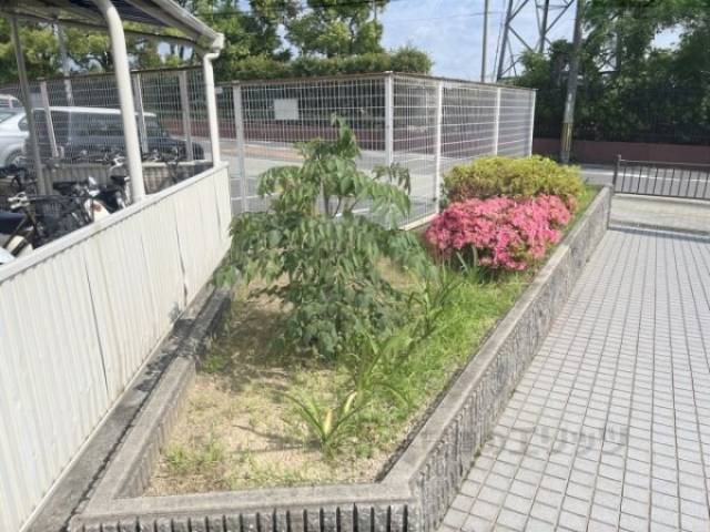 植栽