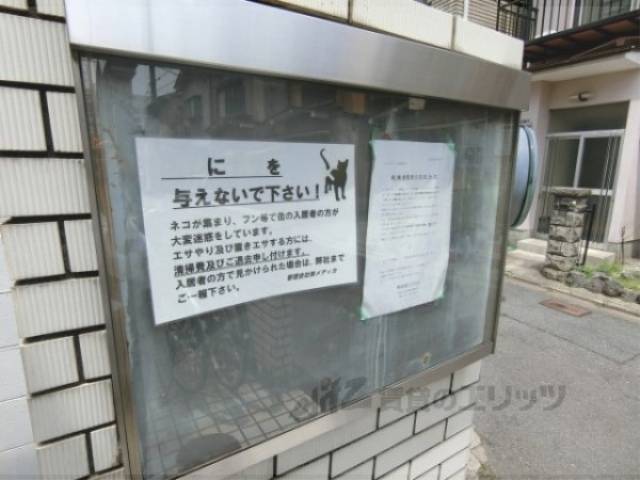 掲示板