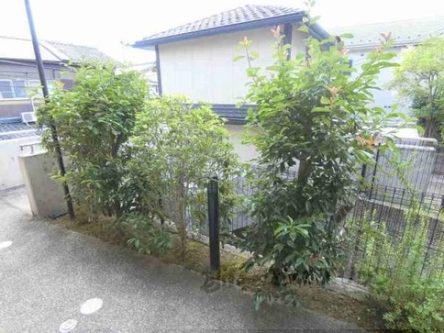 植栽