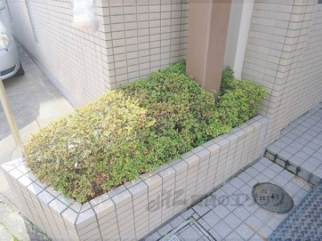 植栽