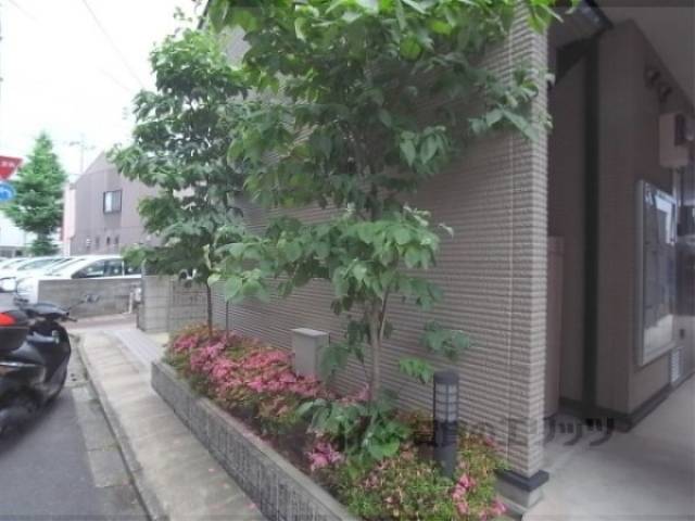 植栽