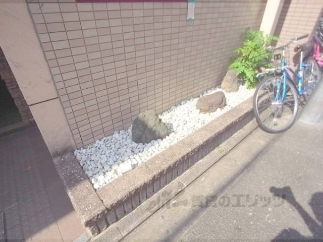 植栽