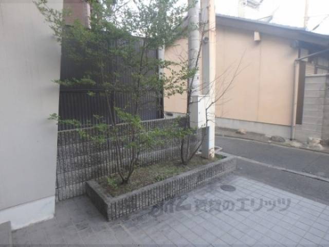 植栽