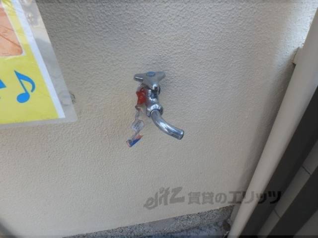 蛇口
