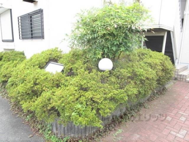 植栽