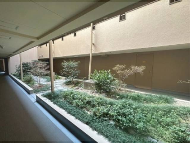 植栽　中庭