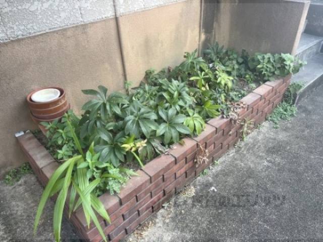 植栽