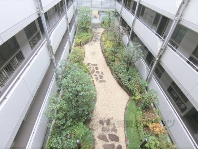 植栽