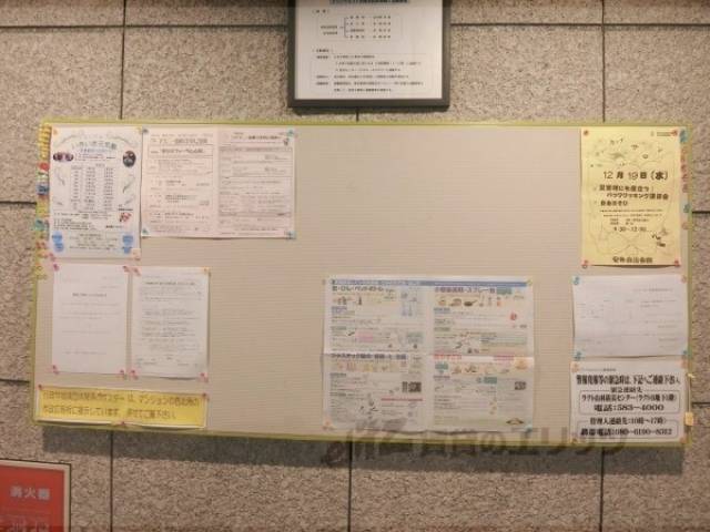 掲示板