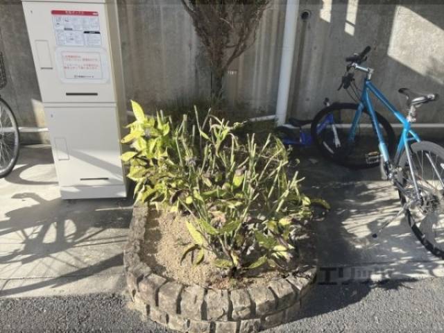 植栽