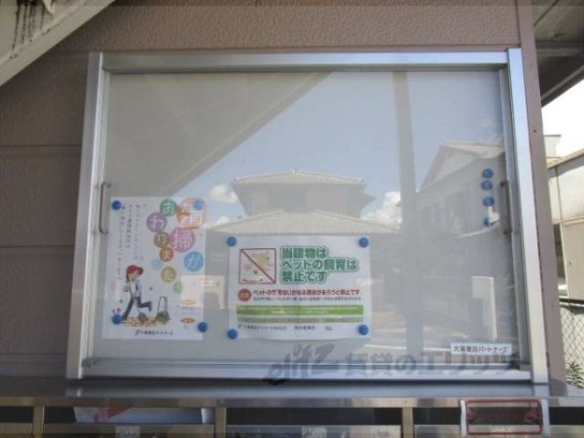 掲示板